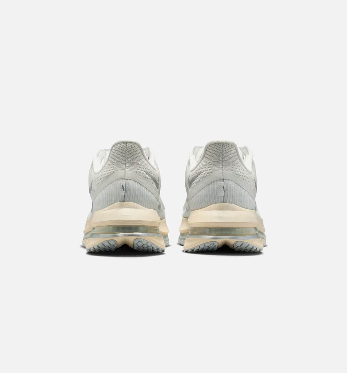 Men's Pegasus Premium Platinum Tint